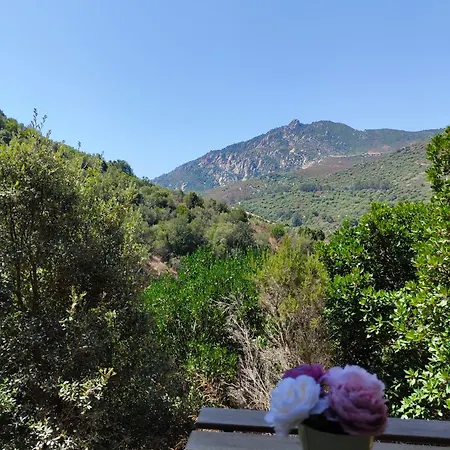 Un Ete Sur L'ile De Beaute Entre Et Nature * Ajaccio (Corsica)