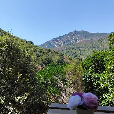 Un Ete Sur L'ile De Beaute Entre Et Nature * Ajaccio (Corsica)